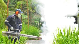 Best Fumigation Services  in Bastrop, LA